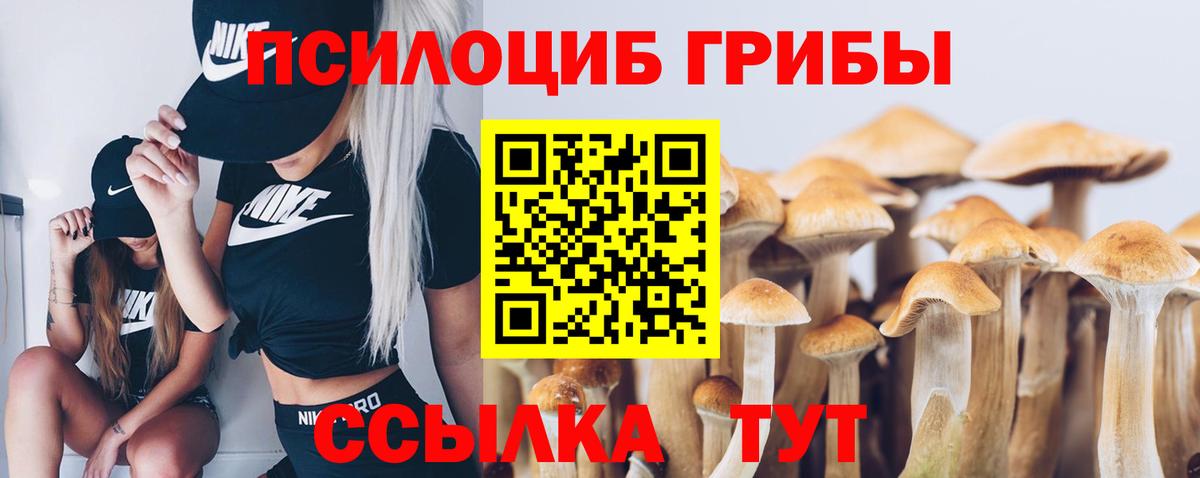 Галлюциногенные грибы прущие грибы Нерюнгри